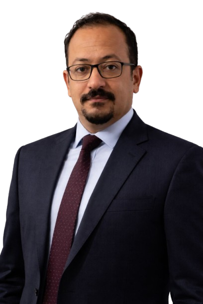 Hassan Mohamed Zekry